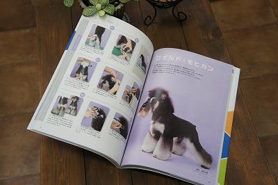 20120415-犬たち 108.jpg